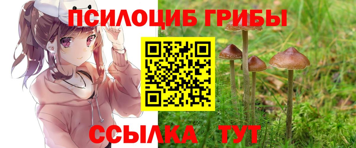 Галлюциногенные грибы GOLDEN TEACHER  Вход с VPN  Галлюциногенные грибы GOLDEN TEACHER  Можга 